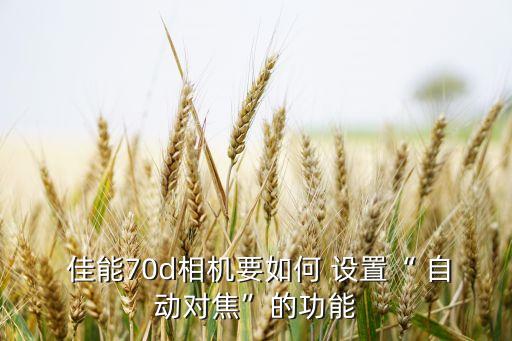 佳能自動追焦設(shè)置,如何使用自動對焦?這些東西要學(xué)!