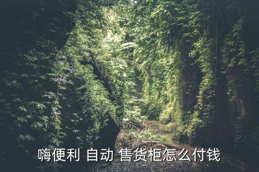 嗨便利 自動 售貨柜怎么付錢