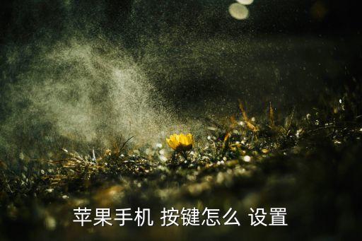 ios設(shè)置自動(dòng)按鍵,如何設(shè)置自動(dòng)get?