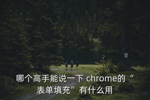 哪個(gè)高手能說一下 chrome的“表單填充”有什么用