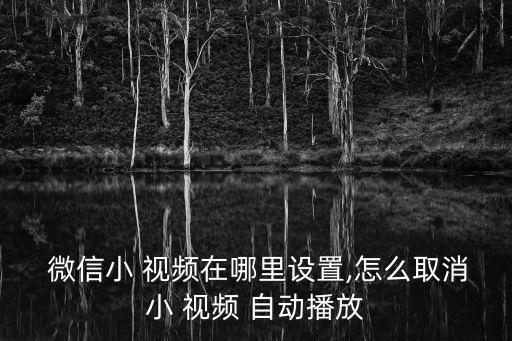 微信小視頻自動停放,微信小伙伴視頻打開/關(guān)閉自動如何設(shè)置?