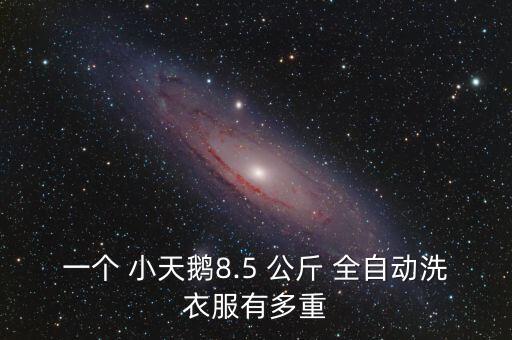 小天鵝全自動洗衣機5.5公斤,如何使用小天鵝全自動洗衣機?