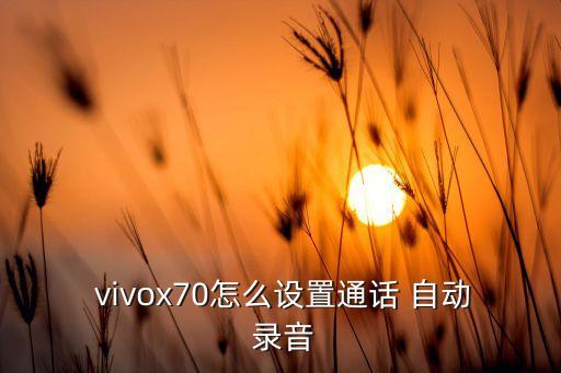 vivox7自動(dòng)錄音隱藏,如何設(shè)置呼叫自動(dòng)錄音功能?
