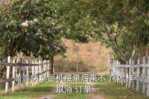 滴滴自動訂單怎么取消訂單,滴滴trip取消訂單流程: