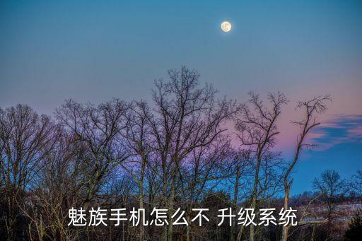  魅族手機(jī)怎么不 升級(jí)系統(tǒng)