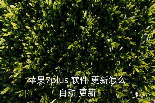 蘋果7軟件自動(dòng)更新不了怎么辦