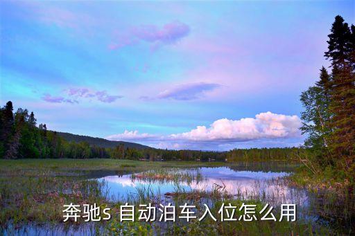 奔馳s 自動(dòng)駕駛 限距,一文看懂!!奔馳s配備了什么?