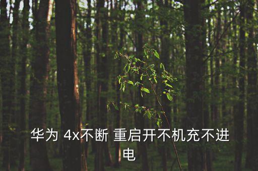  華為 4x不斷 重啟開不機充不進電