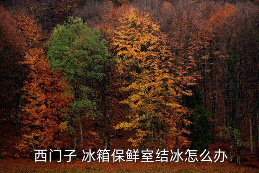 西門(mén)子冰箱自動(dòng)冰塊,冷凍室結(jié)冰怎么辦?可以這樣做!