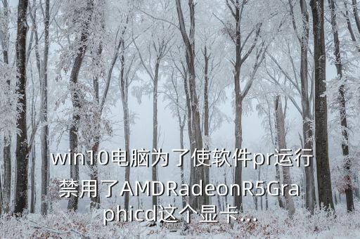 win10自動(dòng)關(guān)閉屏幕amd,win10怎么玩?