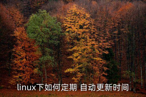 linux下如何定期 自動(dòng)更新時(shí)間