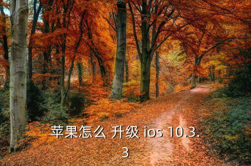 蘋果怎么 升級(jí) ios 10.3.3