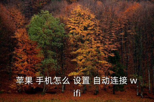 手機設置自動鏈接wifi,wife如何設置和查看