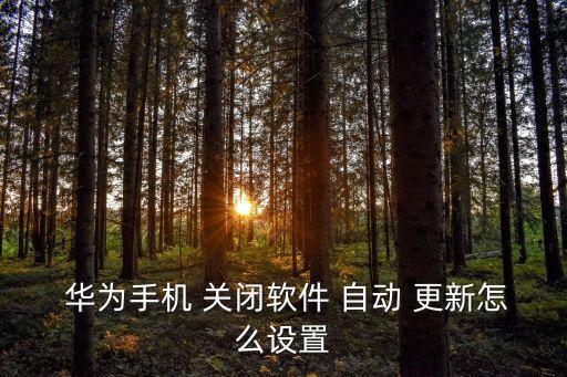  華為手機 關閉軟件 自動 更新怎么設置
