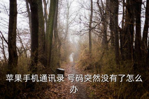 號碼自動不見了怎么辦啊,蘋果手機通訊錄突然消失怎么辦?