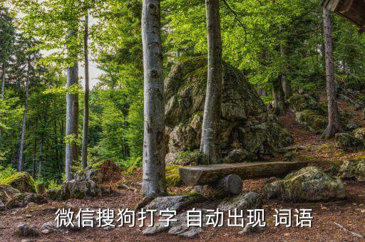  微信搜狗打字 自動(dòng)出現(xiàn) 詞語(yǔ)