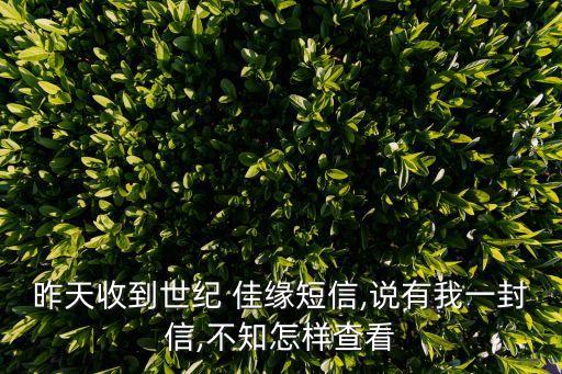昨天收到世紀(jì) 佳緣短信,說有我一封信,不知怎樣查看