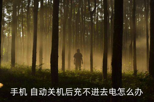 手機(jī) 自動(dòng)關(guān)機(jī)后充不進(jìn)去電怎么辦