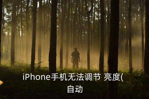iphone自動(dòng)亮度不靈
