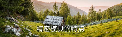 自動模的特點,工業(yè)生產(chǎn)中使用的各種模具和工具