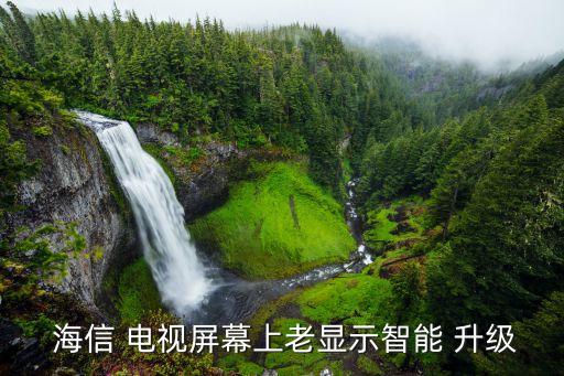  海信 電視屏幕上老顯示智能 升級