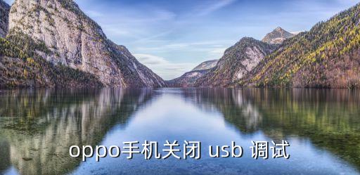 oppo手機(jī)關(guān)閉 usb 調(diào)試