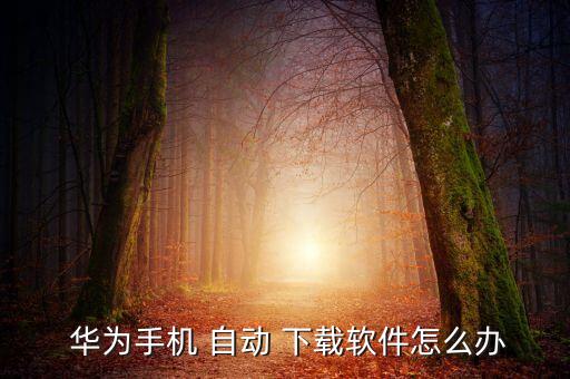  華為手機(jī) 自動(dòng) 下載軟件怎么辦