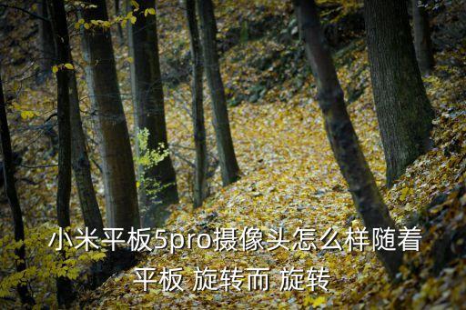 小米5看照片自動旋轉,怎么恢復旋轉圖片?