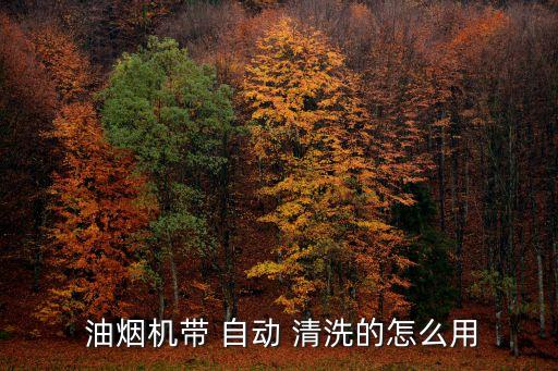  油煙機帶 自動 清洗的怎么用