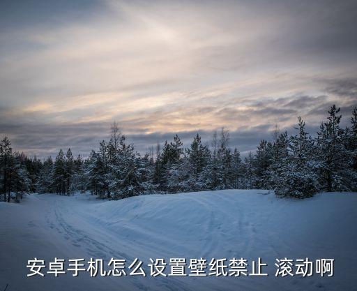  安卓手機(jī)怎么設(shè)置壁紙禁止 滾動(dòng)啊
