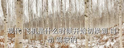飛機(jī)降落是自動(dòng)駕駛么,新一代飛機(jī)裝有自動(dòng)駕駛系統(tǒng)