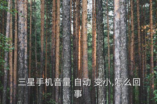三星s4聲音自動(dòng)變小,手機(jī)不工作時(shí)怎么辦?