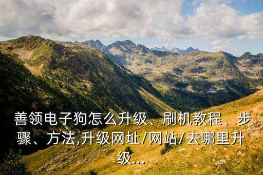  善領(lǐng)電子狗怎么升級、刷機教程、步驟、方法,升級網(wǎng)址/網(wǎng)站/去哪里升級...