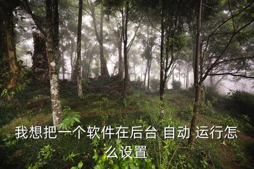 我想把一個(gè)軟件在后臺(tái) 自動(dòng) 運(yùn)行怎么設(shè)置