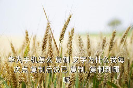 長(zhǎng)按文字自動(dòng)復(fù)制,長(zhǎng)按文案復(fù)制到瀏覽框內(nèi)即可還原