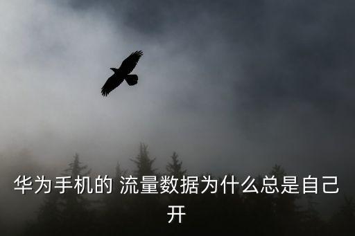 4G流量為什么自動(dòng)開,手機(jī)自動(dòng)on流量有哪幾種可能?