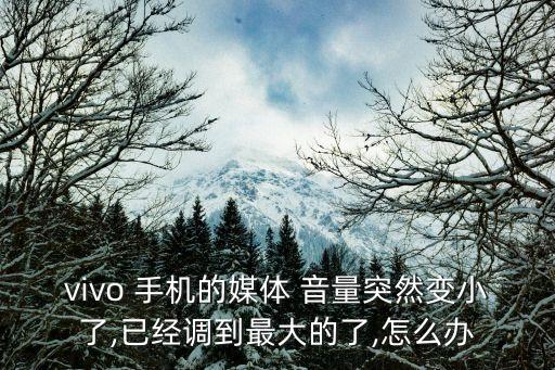 vivo 手機(jī)的媒體 音量突然變小了,已經(jīng)調(diào)到最大的了,怎么辦