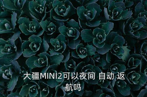  大疆MINI2可以夜間 自動(dòng) 返航嗎