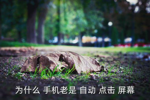 為什么 手機(jī)老是 自動(dòng) 點(diǎn)擊 屏幕
