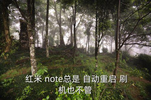  紅米 note總是 自動(dòng)重啟 刷機(jī)也不管