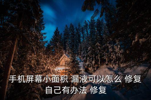 漏液自動(dòng)修復(fù),手機(jī)屏幕漏液怎么辦?答案!