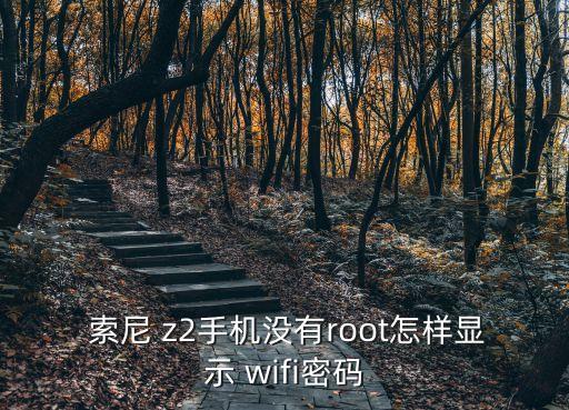  索尼 z2手機(jī)沒有root怎樣顯示 wifi密碼