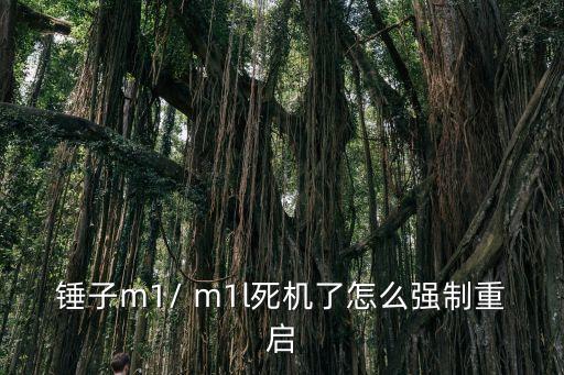錘子m1/ m1l死機(jī)了怎么強(qiáng)制重啟