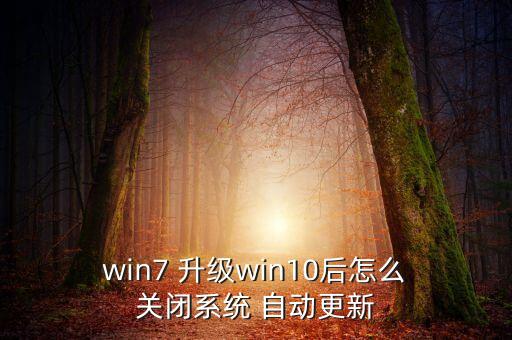 win7 自動升級關(guān)閉,系統(tǒng)盤根據(jù)需要自動添加文件包括文件