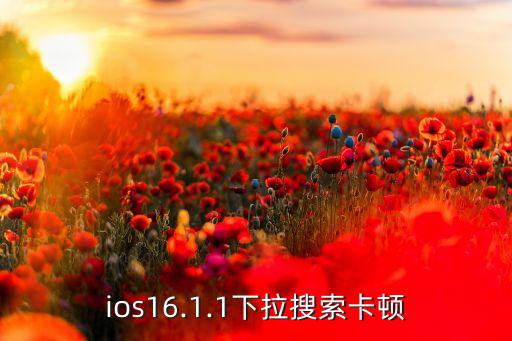 ios16.1.1下拉搜索卡頓