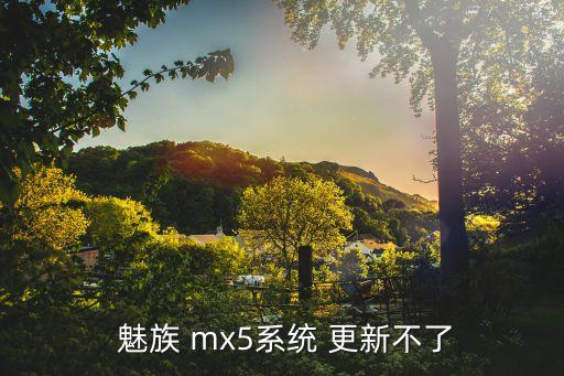  魅族 mx5系統(tǒng) 更新不了