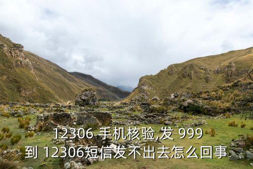 手機(jī)自動(dòng)999到12306,12306怎么辦?