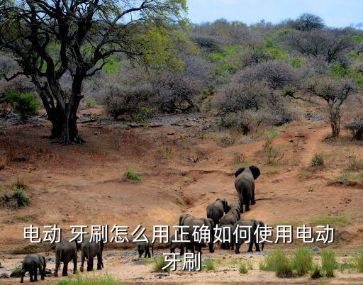 電動(dòng) 牙刷怎么用正確如何使用電動(dòng) 牙刷