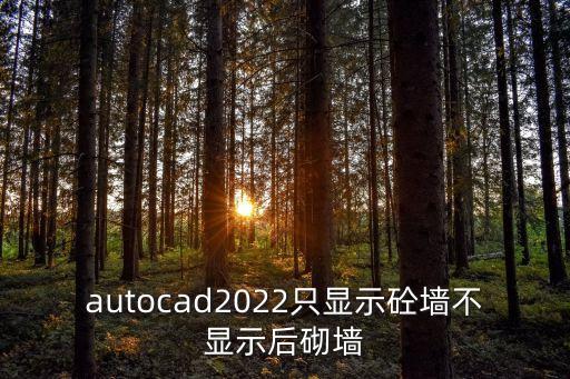 自動(dòng)徹墻的機(jī)器,廢棄飛機(jī)如何保養(yǎng)維修?