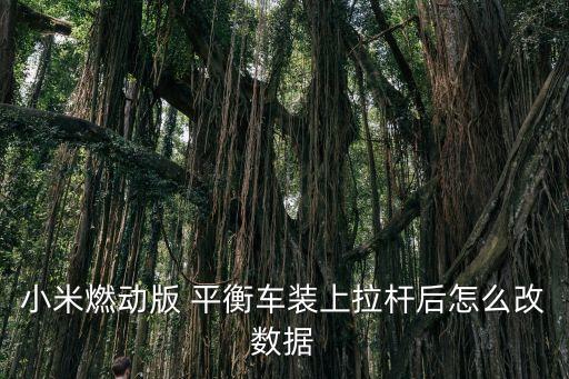 小米燃動版 平衡車裝上拉桿后怎么改數(shù)據(jù)